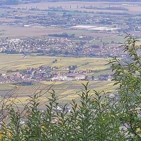 Sur La Route Du Vin Villa Rorschwihr Bagian luar foto