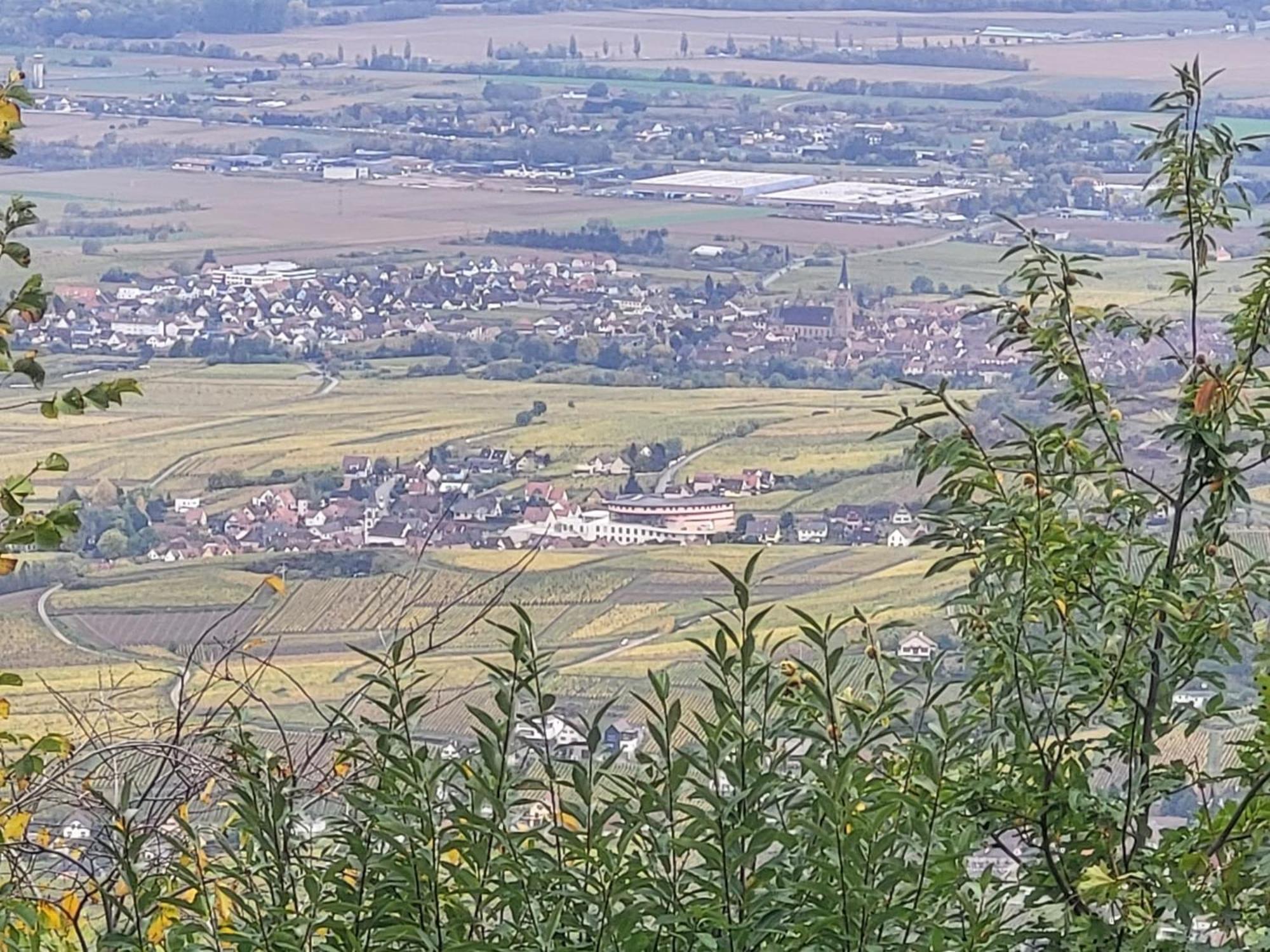 Sur La Route Du Vin Villa Rorschwihr Bagian luar foto