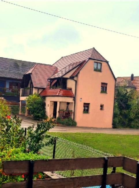 Sur La Route Du Vin Villa Rorschwihr Bagian luar foto